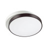 Потолочный светодиодный светильник Lumion Agatha 4509/72CL - Потолочный светодиодный светильник Lumion Agatha 4509/72CL