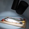 Светильник LGD-SHOP-4TR-R100-40W Cool SP7500-Fish (BK, 24 deg) (Arlight, IP20 Металл, 3 года) - Светильник LGD-SHOP-4TR-R100-40W Cool SP7500-Fish (BK, 24 deg) (Arlight, IP20 Металл, 3 года)