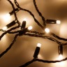 Светодиодная гирлянда ARD-STRING-PRO-10000-BLACK-100LED-FLASH WARM (230V, 7W) (Ardecoled, IP65) - Светодиодная гирлянда ARD-STRING-PRO-10000-BLACK-100LED-FLASH WARM (230V, 7W) (Ardecoled, IP65)