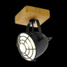 Спот Eglo Gatebeck 49076 - Спот Eglo Gatebeck 49076