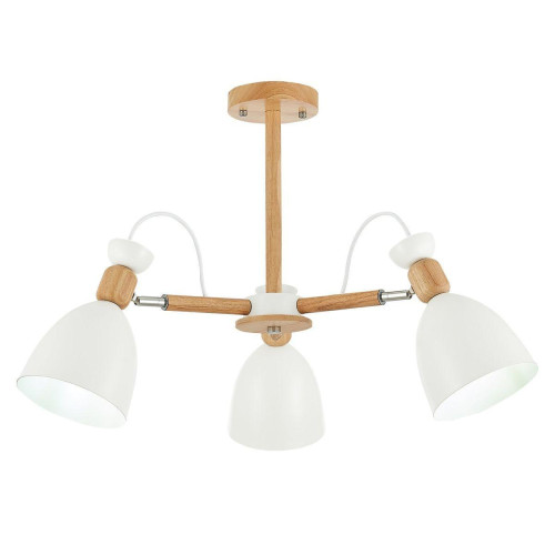 Потолочная люстра Evoluce Balcamo SLE103802-03 