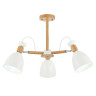 Потолочная люстра Evoluce Balcamo SLE103802-03 - Потолочная люстра Evoluce Balcamo SLE103802-03