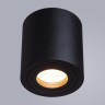 Потолочный светильник Divinare Galopin 1460/04 PL-1 - Потолочный светильник Divinare Galopin 1460/04 PL-1