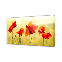  - Холст Toplight 50х100х2см TL-H3043