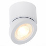 Светодиодный спот ST Luce ST654.532.10 - Светодиодный спот ST Luce ST654.532.10