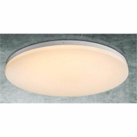 Потолочный светодиодный светильник Globo 41625-30 - Потолочный светодиодный светильник Globo 41625-30