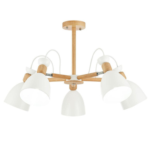 Потолочная люстра Evoluce Balcamo SLE103802-05 