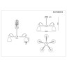 Потолочная люстра Evoluce Balcamo SLE103802-05 - Потолочная люстра Evoluce Balcamo SLE103802-05