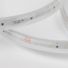 Светодиодная влагозащищенная лента Elektrostandard 14,4W/m 120LED/m 2835SMD дневной белый 50M 4690389170966 - Светодиодная влагозащищенная лента Elektrostandard 14,4W/m 120LED/m 2835SMD дневной белый 50M 4690389170966