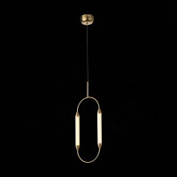  - Подвесной светодиодный светильник ST Luce Olbia SL6004.303.02