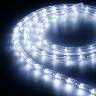 Образец Дюралайт ARD-REG-FLASH Cool (220V, 36 LED/m, 2m) (Ardecoled, Закрытый) - Образец Дюралайт ARD-REG-FLASH Cool (220V, 36 LED/m, 2m) (Ardecoled, Закрытый)
