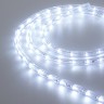 Образец Дюралайт ARD-REG-FLASH Cool (220V, 36 LED/m, 2m) (Ardecoled, Закрытый) - Образец Дюралайт ARD-REG-FLASH Cool (220V, 36 LED/m, 2m) (Ardecoled, Закрытый)