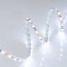 Лента RT 2-5000 12V Cool 8K 2x (5060, 300 LED, LUX) (Arlight, 14.4 Вт/м, IP20) - Лента RT 2-5000 12V Cool 8K 2x (5060, 300 LED, LUX) (Arlight, 14.4 Вт/м, IP20)