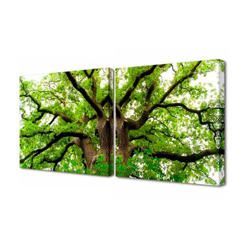 Модульная картина Toplight Природа 50х100см TL-M2029 