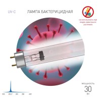  - Лампа ультрафиолетовая бактерицидная ЭРА UV-С ДБ 30 Т8 G13 Б0048973