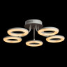 Потолочная светодиодная люстра Arte Lamp 40 A9358PL-5WH - Потолочная светодиодная люстра Arte Lamp 40 A9358PL-5WH
