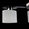 Потолочный светильник Freya FR5101-CL-03-CN - Потолочный светильник Freya FR5101-CL-03-CN
