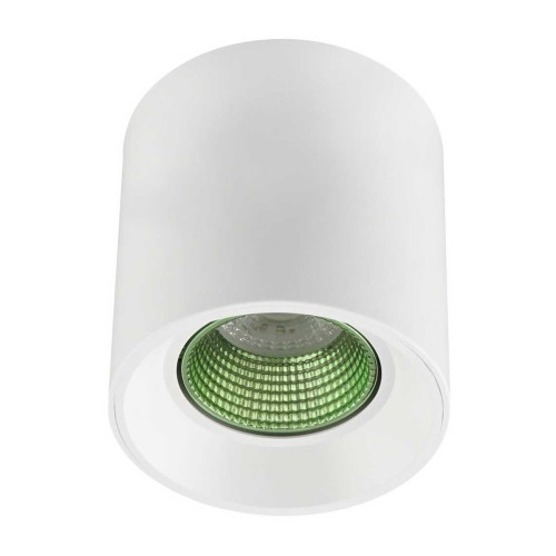 Потолочный светильник Denkirs DK3020WGR DK3090-WH+GR 
