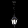 Подвесной светильник Outdoor O003PL-01B - Подвесной светильник Outdoor O003PL-01B