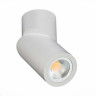 Спот ST Luce ST650.502.01 - Спот ST Luce ST650.502.01