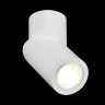 Спот ST Luce ST650.502.01 - Спот ST Luce ST650.502.01
