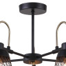 Потолочная люстра F-Promo Entresol 2346-5P - Потолочная люстра F-Promo Entresol 2346-5P