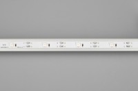  - Лента RT-5000-6060LENS-20-12V Warm3000 (10mm, 10W/m, IP20) (Arlight, Открытый)