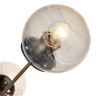 Подвесная люстра Arte Lamp Meissa A4164PL-6AB - Подвесная люстра Arte Lamp Meissa A4164PL-6AB