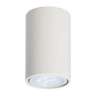 Потолочный светильник TopDecor Tubo6 P1 26 - Потолочный светильник TopDecor Tubo6 P1 26