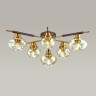 Потолочная люстра Lumion Yoshi 4405/6C - Потолочная люстра Lumion Yoshi 4405/6C