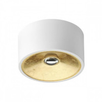  - Потолочный светильник Odeon Light Glasgow 3892/1C