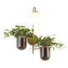 Настенный светильник Odeon Light Flower 4682/1W - Настенный светильник Odeon Light Flower 4682/1W