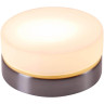 Потолочный светильник Globo Opal 48400 - Потолочный светильник Globo Opal 48400