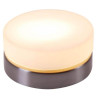 Потолочный светильник Globo Opal 48400 - Потолочный светильник Globo Opal 48400