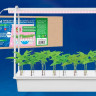 Светодиодный светильник для растений Uniel Minigarden ULT-P44D-10W/Sple IP20 Aqua Simple White UL-00004499 - Светодиодный светильник для растений Uniel Minigarden ULT-P44D-10W/Sple IP20 Aqua Simple White UL-00004499