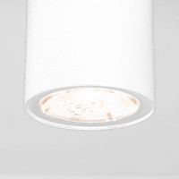  - Уличный светодиодный светильник Elektrostandard Light 35129/H белый 4690389176555