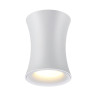Потолочный светильник Odeon Light Zetta 4271/1C - Потолочный светильник Odeon Light Zetta 4271/1C