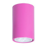 Потолочный светильник TopDecor Tubo6 P1 28 - Потолочный светильник TopDecor Tubo6 P1 28