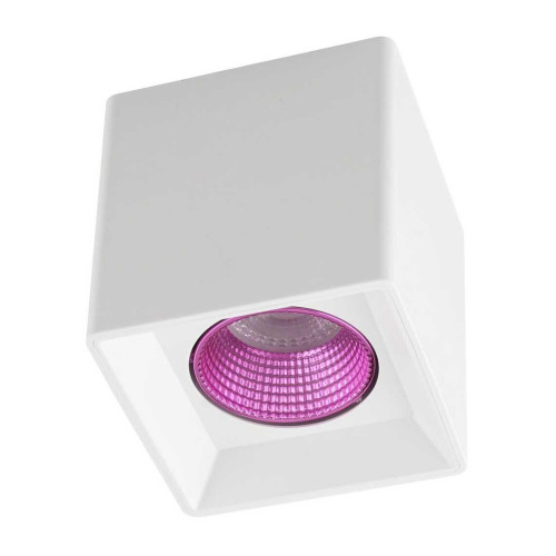 Потолочный светильник Denkirs DK3020WPI DK3080-WH+PI 