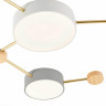 Потолочный светильник Evoluce DOSSENA SLE600102-06 - Потолочный светильник Evoluce DOSSENA SLE600102-06