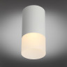 Потолочный светильник Omnilux Lucido OML-100609-01 - Потолочный светильник Omnilux Lucido OML-100609-01