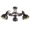 Потолочная люстра Arte Lamp Martin A5216PL-3BR - Потолочная люстра Arte Lamp Martin A5216PL-3BR