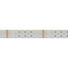 Лента RT 2-5000 24V RGB-White 2x2 (5060, 720 LED, LUX) (Arlight, 32 Вт/м, IP20) - Лента RT 2-5000 24V RGB-White 2x2 (5060, 720 LED, LUX) (Arlight, 32 Вт/м, IP20)