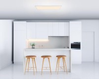  - Потолочный светодиодный светильник Globo Rosi 41604D5F