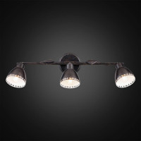  - Спот Citilux Робуста CL509532