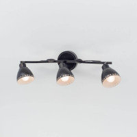  - Спот Citilux Робуста CL509532