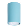Потолочный светильник TopDecor Tubo6 P1 29 - Потолочный светильник TopDecor Tubo6 P1 29