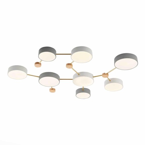 Потолочный светильник Evoluce DOSSENA SLE600102-08 