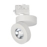 Светильник LGD-MONA-TRACK-4TR-R100-12W White5000 (WH, 24 deg) (Arlight, IP40 Металл, 3 года) - Светильник LGD-MONA-TRACK-4TR-R100-12W White5000 (WH, 24 deg) (Arlight, IP40 Металл, 3 года)
