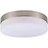 Потолочный светильник Globo Opal 48402 - Потолочный светильник Globo Opal 48402
